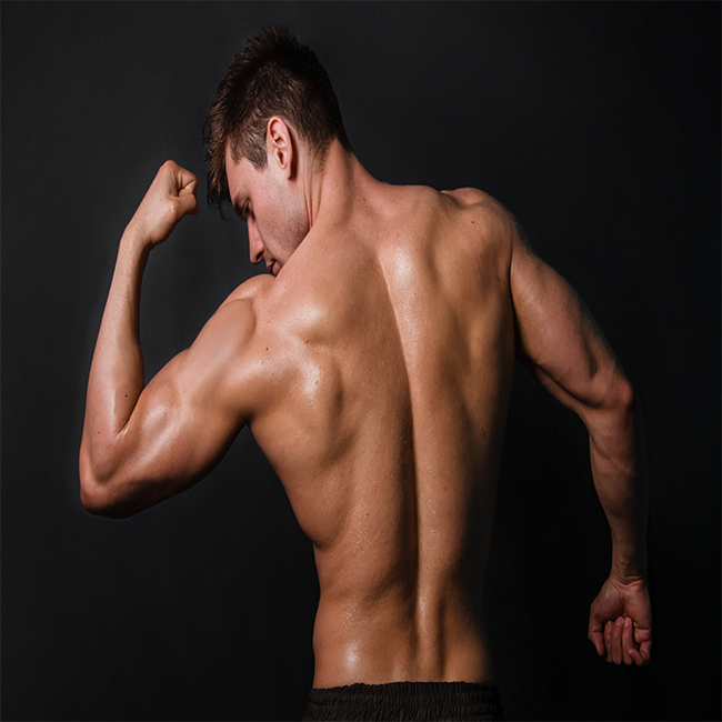 LAxovar For Muscle Growth